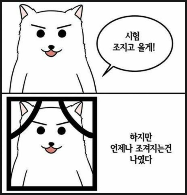 이떼키마스.