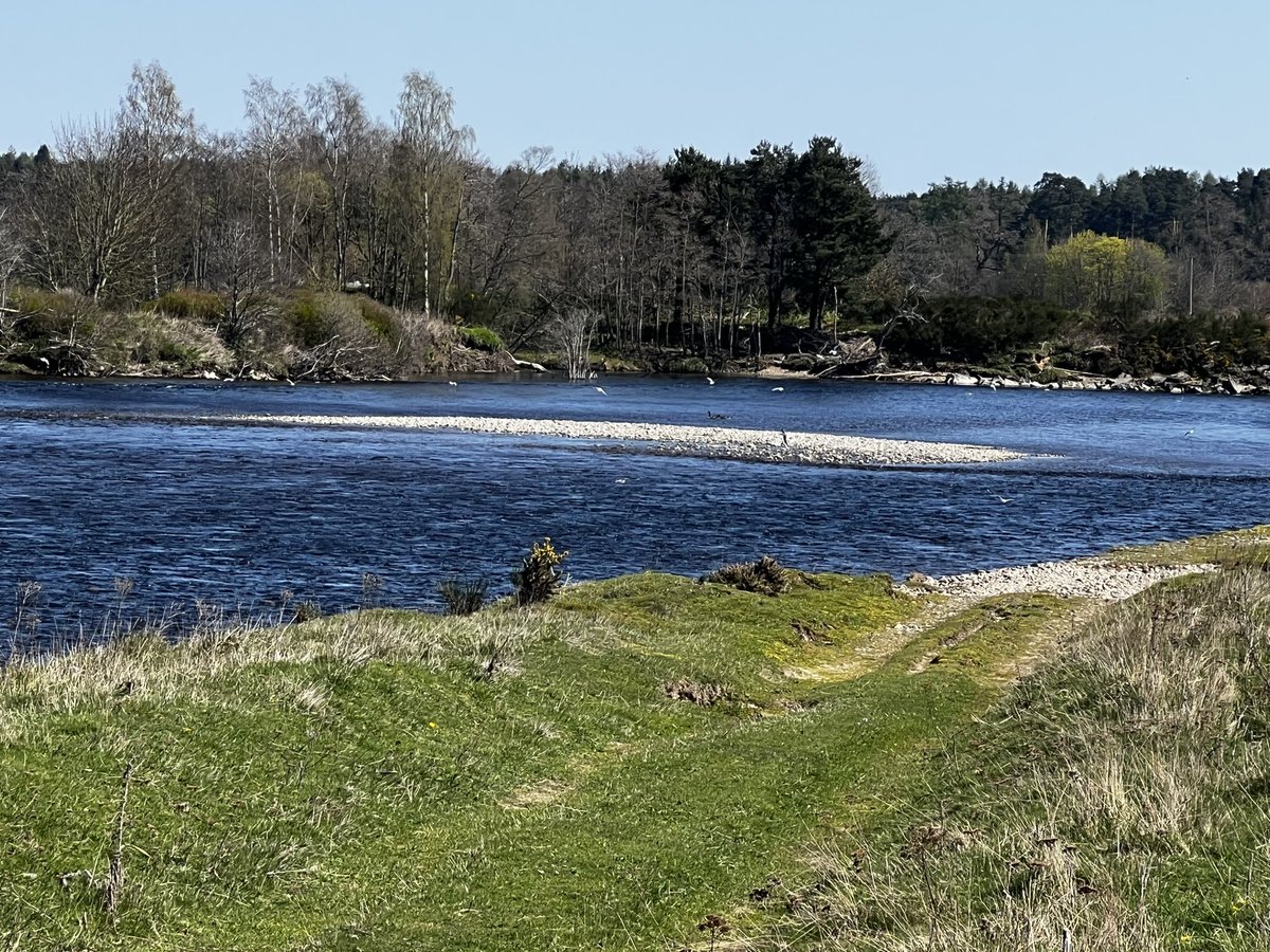 trickgolfshow's tweet photo. Home after a few wonderful days #SalmonFishing in #Scotland on #RiverTay looking forward to #golfing @GantonGC on Tuesday and #RaceTiParis @legolfnational Grand Final on Thursday @ThonockParkGolf #KarstenLakes the home of @PINGTourEurope https://t.co/O4bQ2bXFsJ