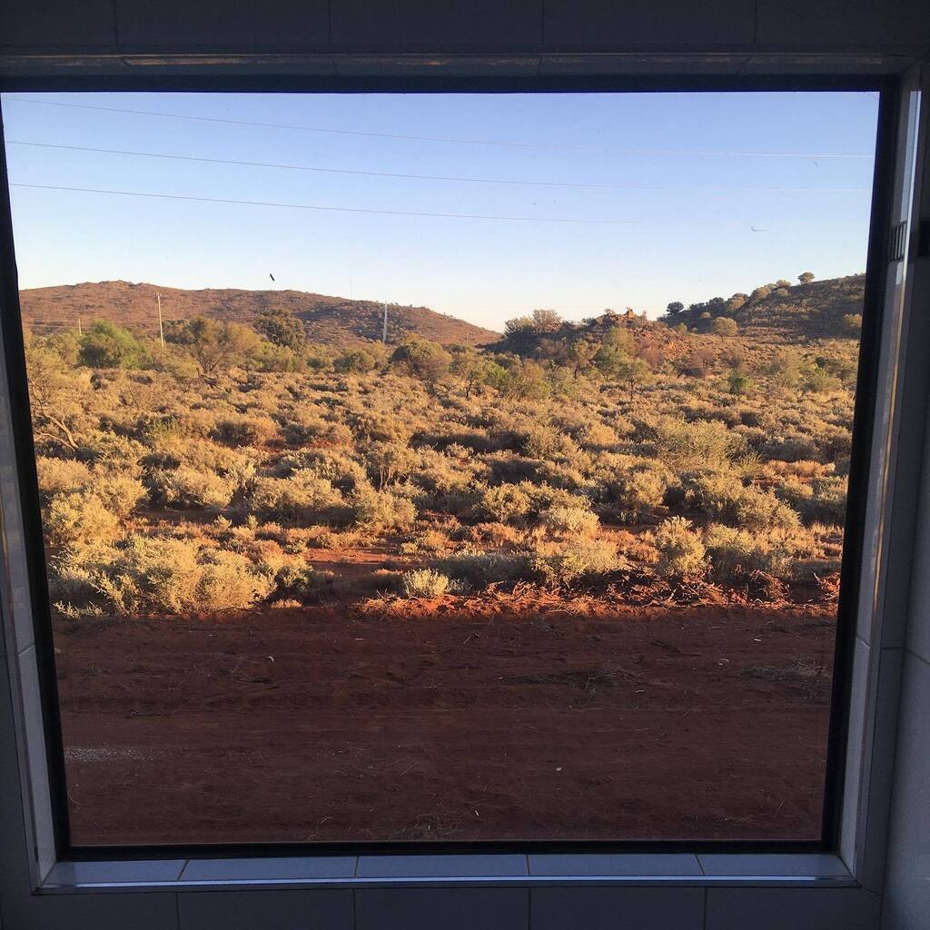 NErckSabbatical's tweet photo. Good morning outback. https://t.co/3ViWShobxi https://t.co/Di04ZJ2J6r