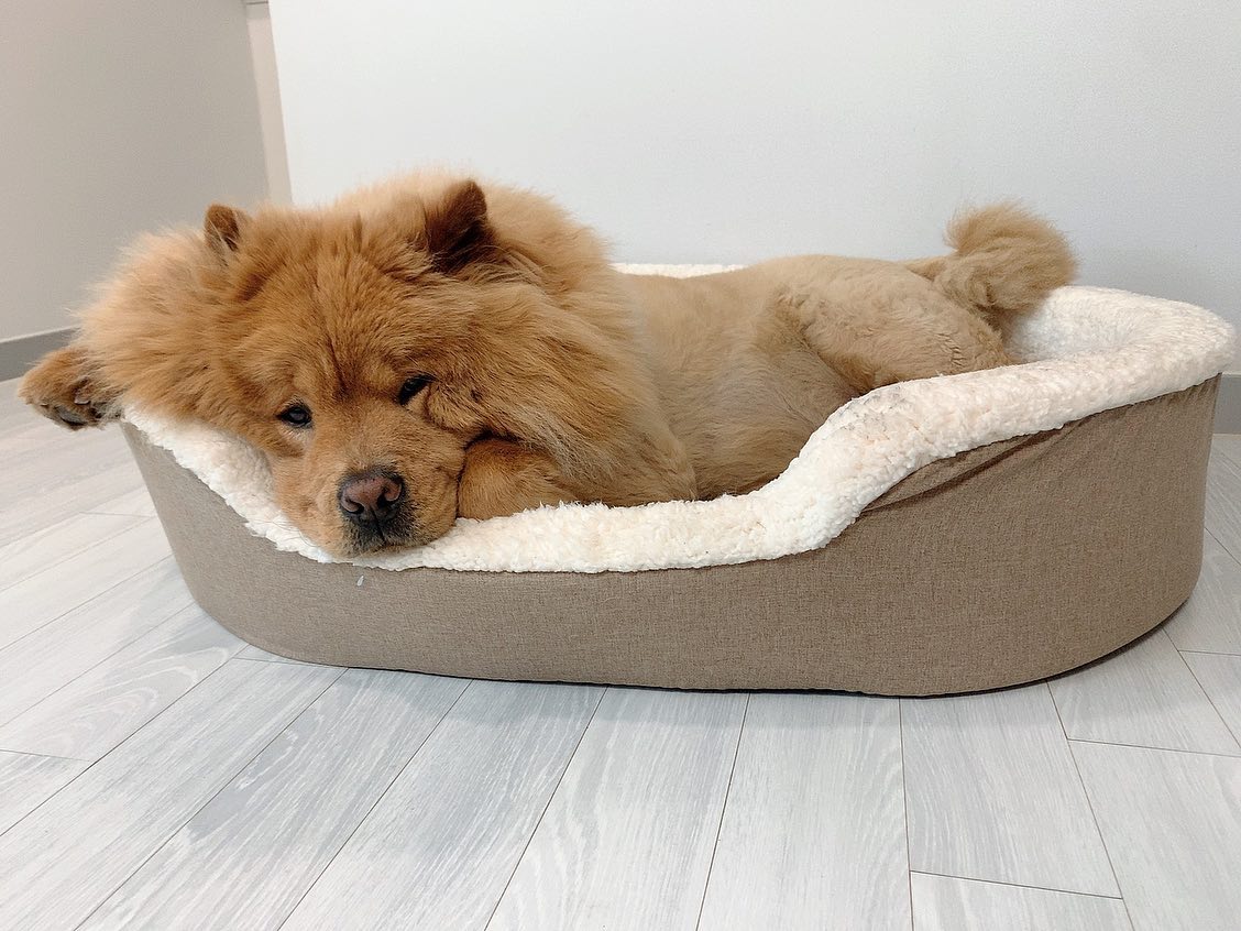 It is a very long stage to get acquainted, know each other, and communicate with each other in the vast sea of people. So do it and cherish it!🇰🇷🇺🇸