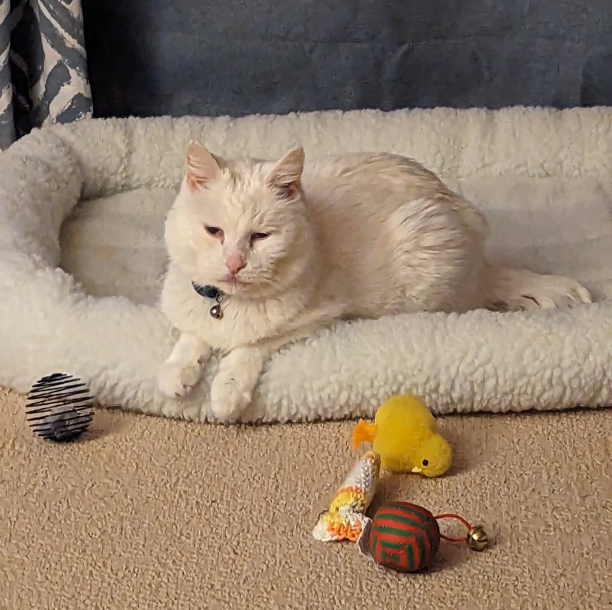 eldersnorf's tweet image. stinking pungently and handsomely