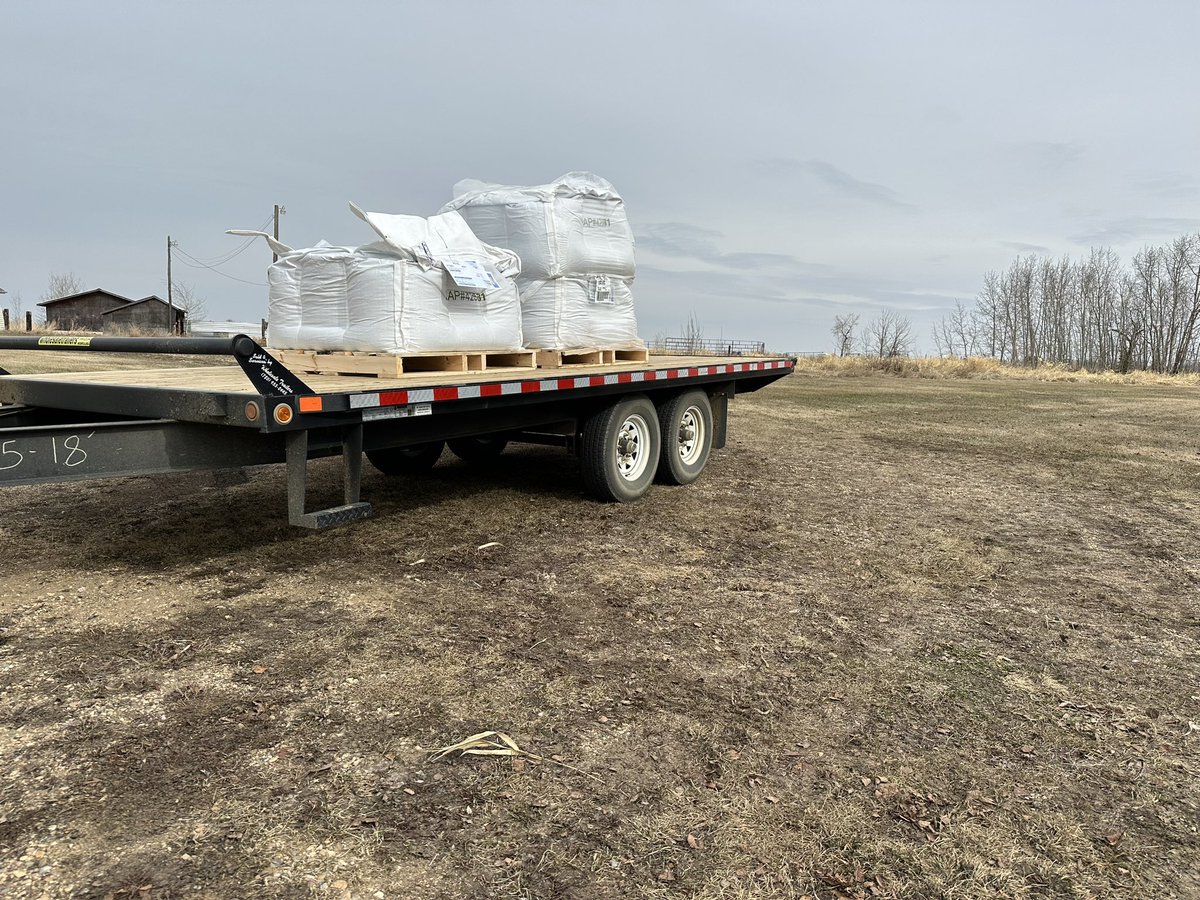Some will try downplay that <a href="/PioneerSeedsCA/">Pioneer Seeds Canada</a> clubroot system is a "sales tactic" but that's just fear doing the talking 

We have the best selection of clubroot resistant hybrids on the market PERIOD 

A load of new pioneer P516L headed out to another loyal customer #belivethehype