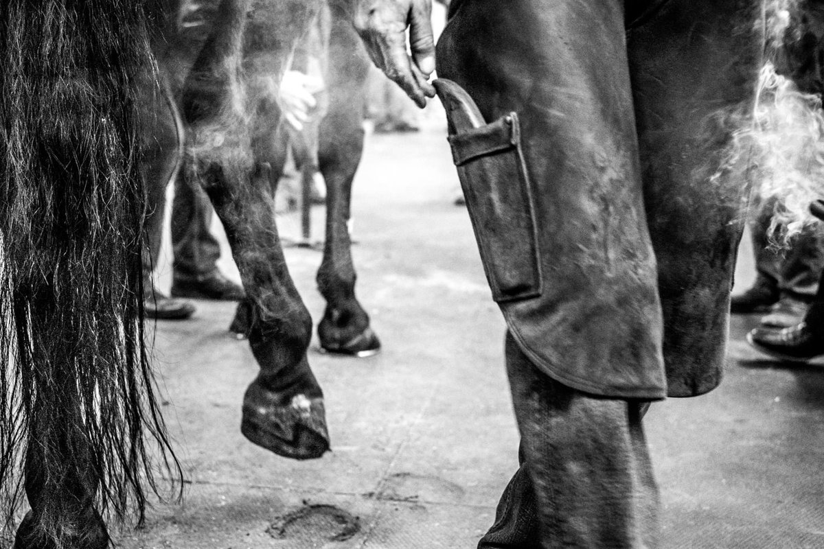 Farrier hot fitting a shoe. #farrier #horse #bnwphotography