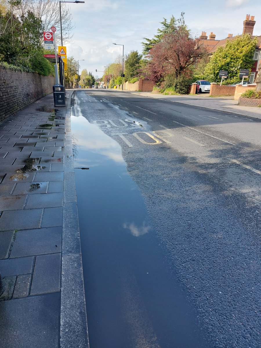 Neil Salt tweet media