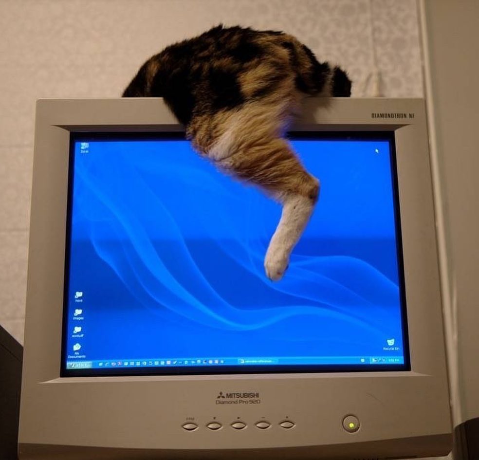 ComputerLove_'s tweet image. 