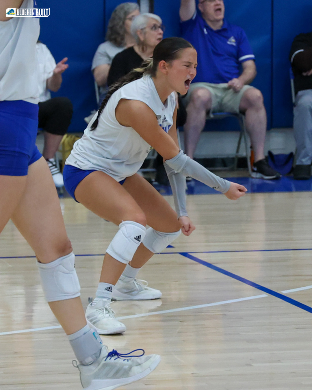 Delaware Volleyball (Delaware_VB) / Twitter