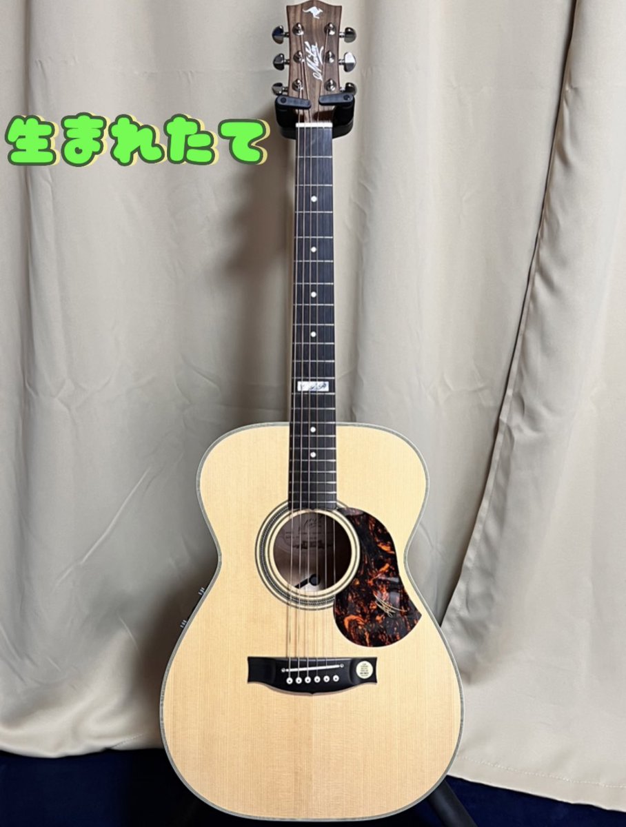 ayaka_sguitar's tweet photo. メイトンうちに来て1歳です！！- ̗̀ 🎂  ̖́-

　　　🦘Maton EBG808 TE🦘

  💐☪︎⋆｡˚✩✯ℋᵅᵖᵖᵞ ℬⁱʳᵗᑋᵈᵃᵞ✯☪︎⋆｡˚✩💐

画像で比べて気付いたんですが
こんなに色が変わるんですね(੭ ᐕ))

傷や汚れも増えて順調に成長してます☺
#Maton #メイトン #EBG808 https://t.co/YMCnQrPqiG
