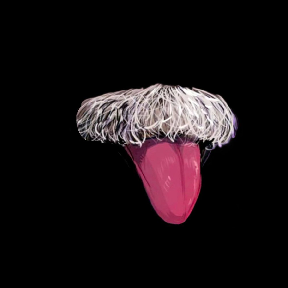 Solana Legend 🎒💧 tweet media