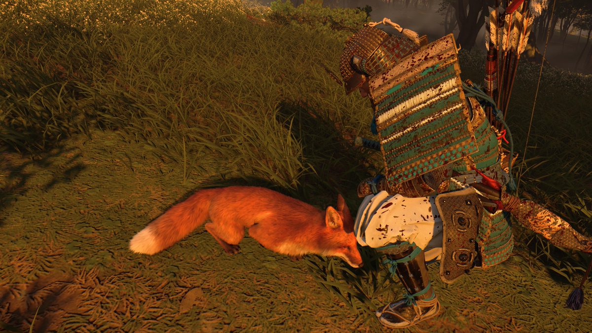 Spieg89's tweet image. Petting foxes #GhostOfTsushima #PS5Share, #GhostofTsushima