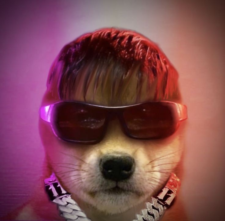 devilmode_'s tweet photo. https://t.co/SR6S95Y1qc