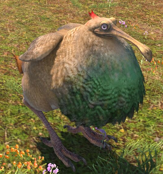 FFXIVXD's tweet photo. The Thavnairian hamsa, a bird indigenous to the island, was originally reared for the sole purpose of harvesting their venom. Nowadays they are considered staples of Hannish cuisine. https://t.co/6l1hSjxuVW