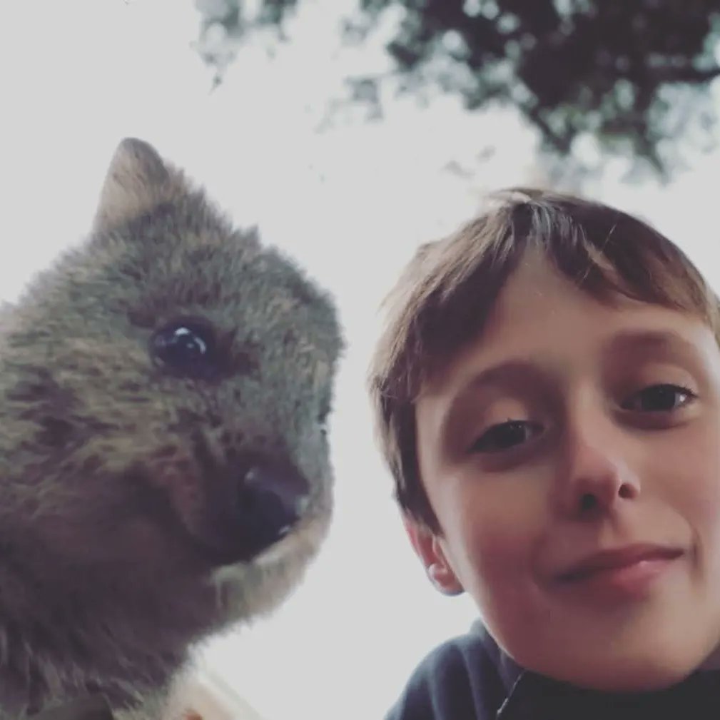 GeoBrandi tweet media