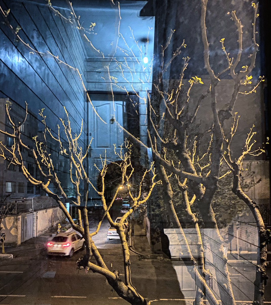 Mayaphoto3's tweet photo. Anyway,there is no way to find a way. https://t.co/xMJFNyCepI