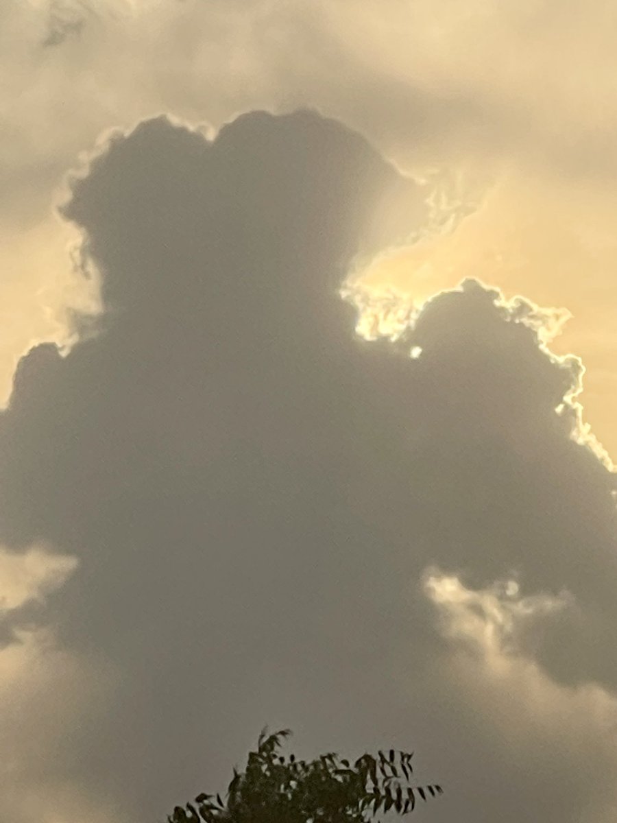 NEETAS11's tweet photo. #mondaycolours #MorningRun πββοΈ https://t.co/r1zJ7f29nO
