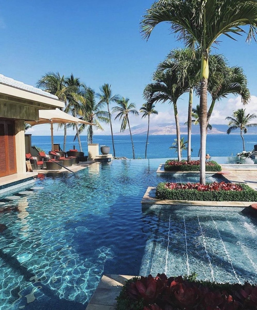 VIEW PORN (@viewporns) on Twitter photo 