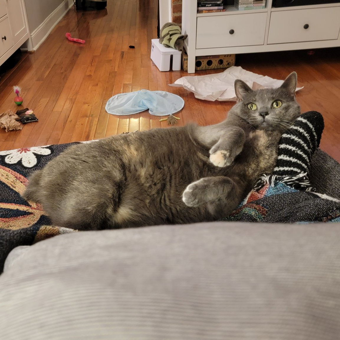 Silent Hill Sheetz Walkthrough on Twitter "Sunday night"