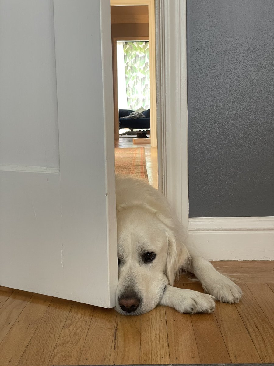 yes dis a good spot to nap