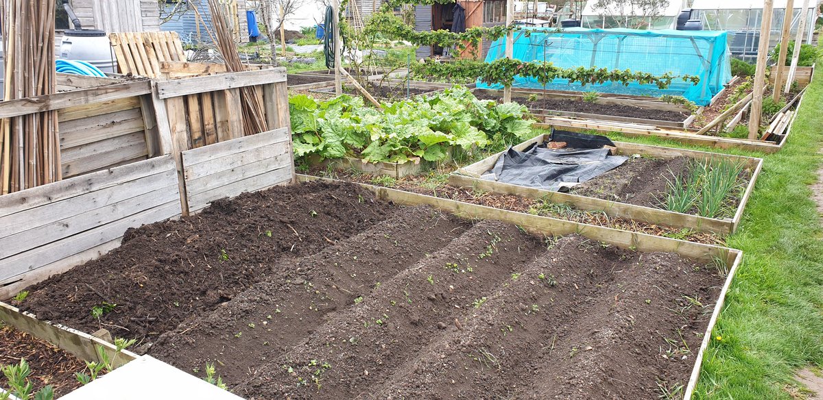 Plot16c2 tweet picture