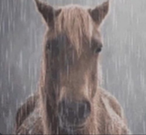 mackennaing's tweet photo. me when someone refuses to give me their best winny https://t.co/nh7zeyqIHP