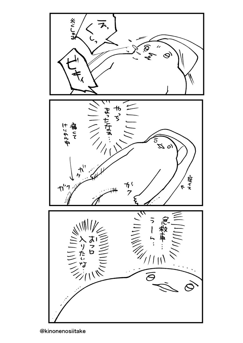 風呂だいじ 