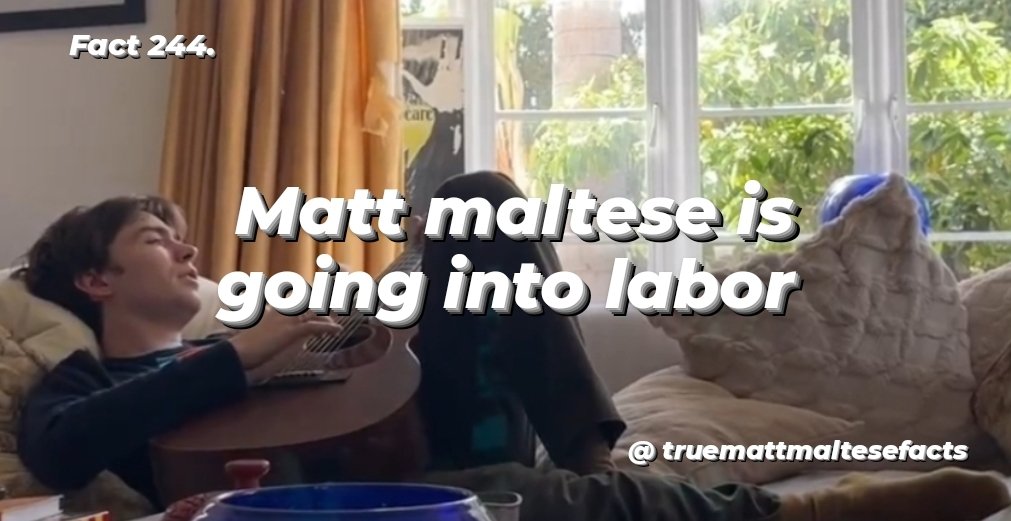TrueMattMalteseFacts tweet media