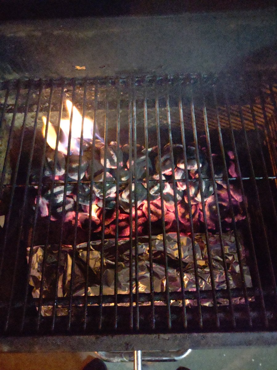 RaiderRay_89's tweet photo. Ribs tonight @Kingsford
#iGrill #BBQ #Ribs #DadsCookingDinner https://t.co/6u19oy46xY