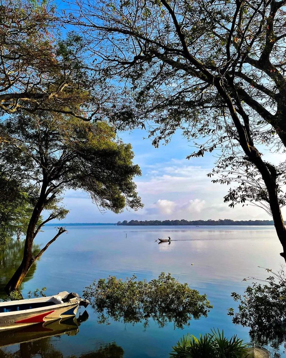 olivelankatours's tweet photo. Peaceful 🌟

#srilanka https://t.co/vZD12GDcoD