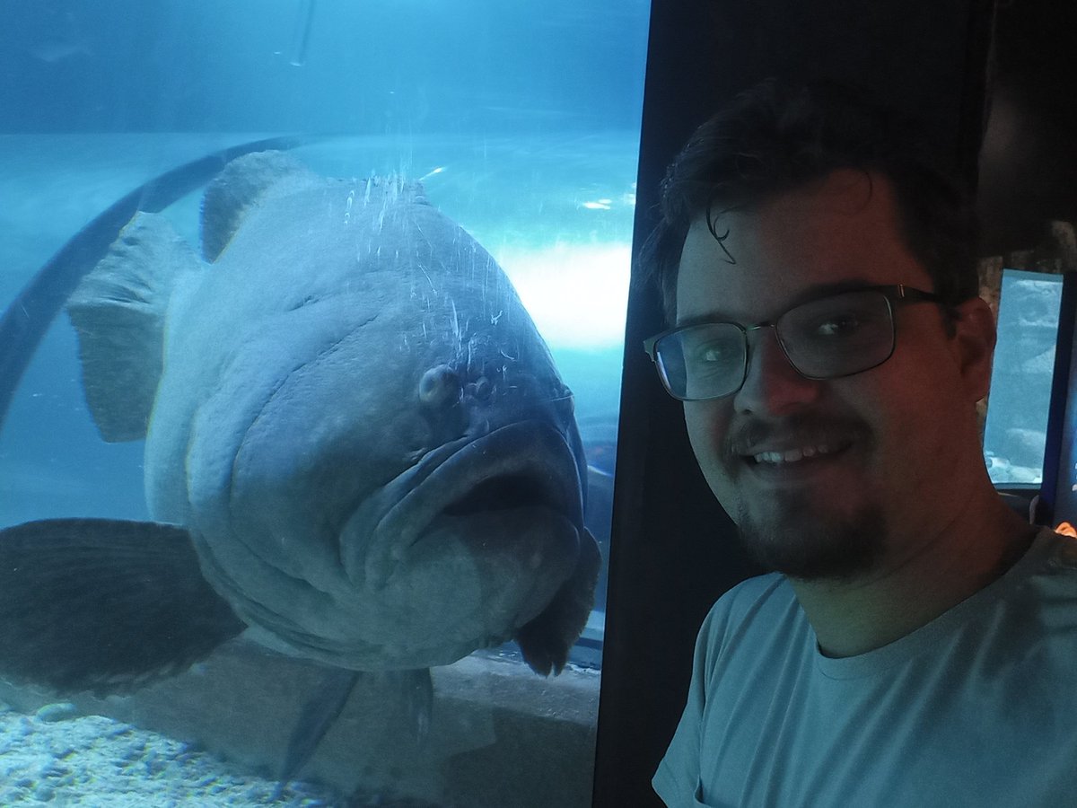 Nathan Boase tweet media