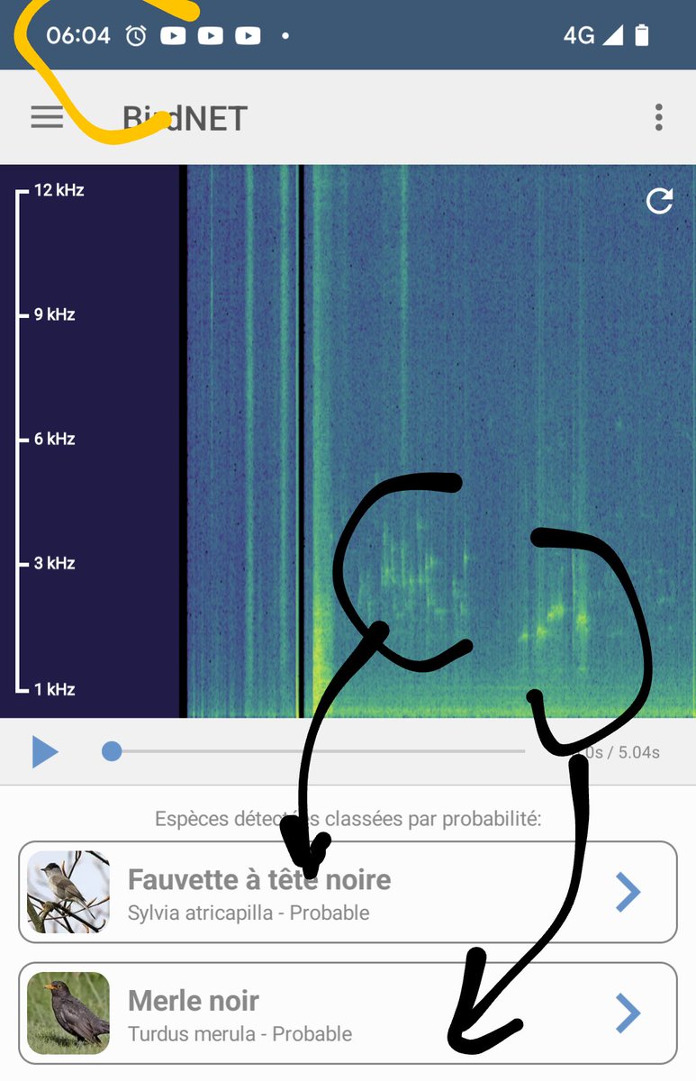 ZeNicoLs's tweet image. "Reveillé en plein centre-ville par le tapage de ses voisins noirs il enregistre l'infraction sur son téléphone et envisage de se faire justice en lâchant son animal sur eux 😸"  @CNEWS  vous prenez le scoop ? #Birdnet