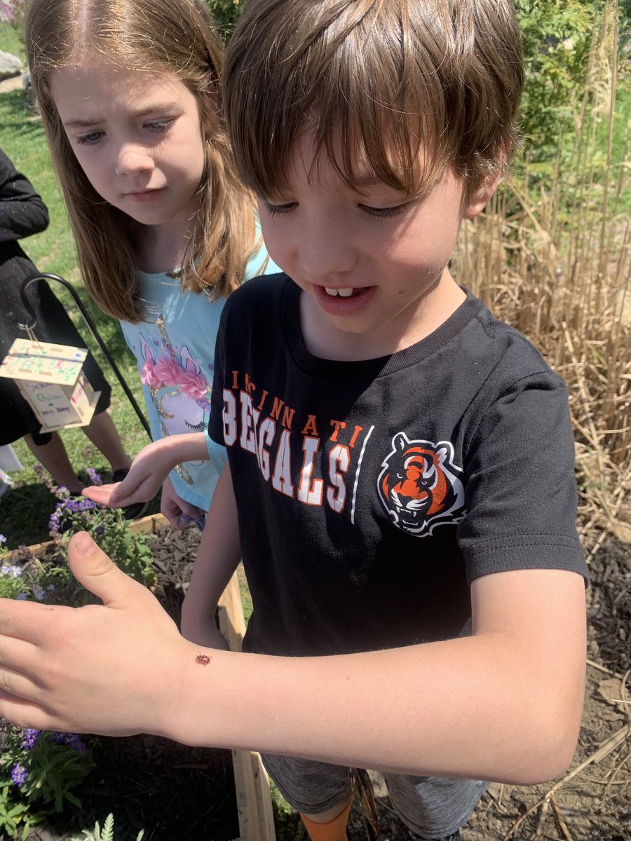 brunk1stgrade's tweet photo. Letting our butterflies go in the butterfly garden @TeachForFuture class made for @WyandotECS outdoor classroom. It’s so beautiful!🦋  #weshinebright #WEarelakota https://t.co/e8MMjWWDIe