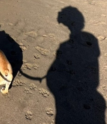 melanieamapabr's tweet image. 🚨São eles! Melanie Martinez e Verde, seu namorado anunciam a gravidez através dos stories, o casal mal pode esperar pra chegada do bebê!