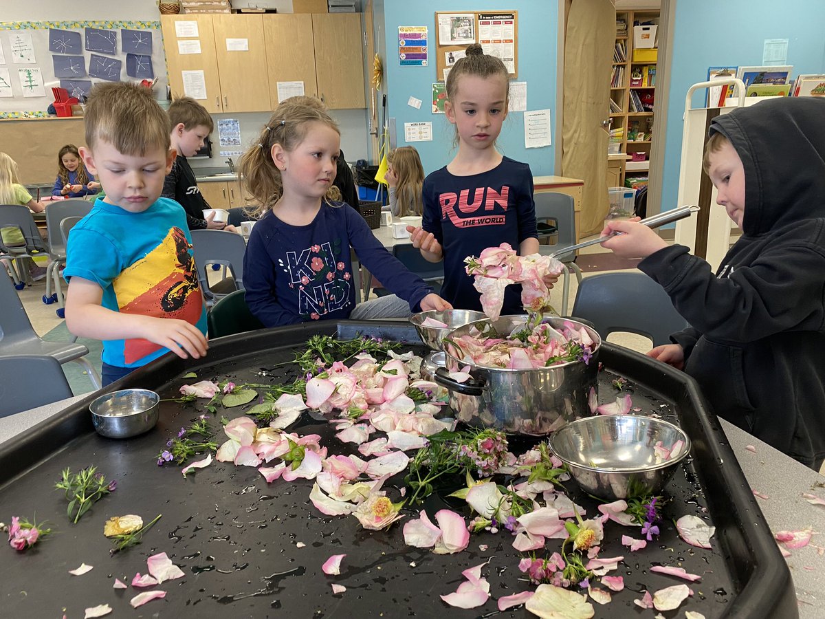 MsYhapRECE's tweet photo. Last week, the Hummingbirds made flower soup. They used scientific exploration and collaboration. We discovered that the water changed colour after we added the flowers. They communicated whether they needed more flowers or water.
@MsMcNiece @MmeCowper @StPhilipOCSB https://t.co/z5MiMhPi9t