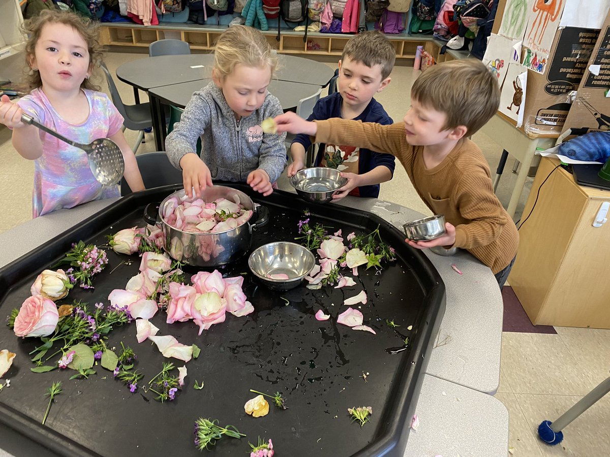 MsYhapRECE's tweet photo. Last week, the Hummingbirds made flower soup. They used scientific exploration and collaboration. We discovered that the water changed colour after we added the flowers. They communicated whether they needed more flowers or water.
@MsMcNiece @MmeCowper @StPhilipOCSB https://t.co/z5MiMhPi9t