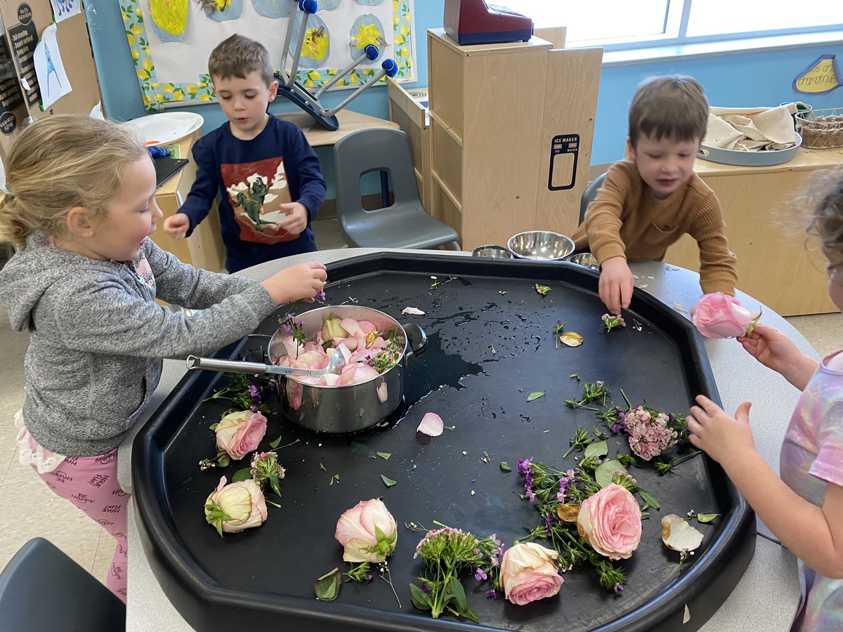 MsYhapRECE's tweet photo. Last week, the Hummingbirds made flower soup. They used scientific exploration and collaboration. We discovered that the water changed colour after we added the flowers. They communicated whether they needed more flowers or water.
@MsMcNiece @MmeCowper @StPhilipOCSB https://t.co/z5MiMhPi9t