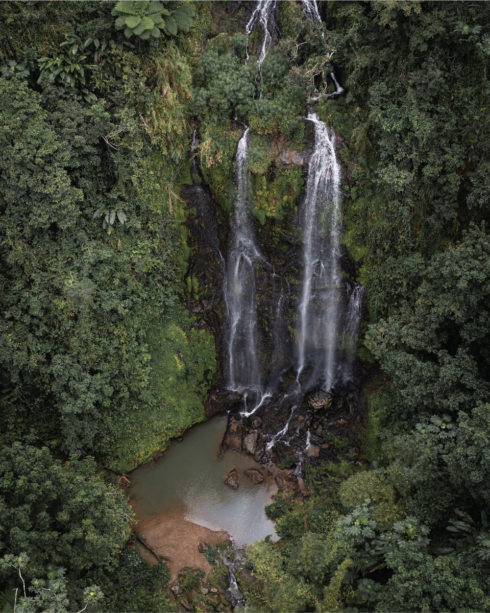 AustynVisuals's tweet photo. Happy Earth Day 🌱 https://t.co/kMGTi6kxjz