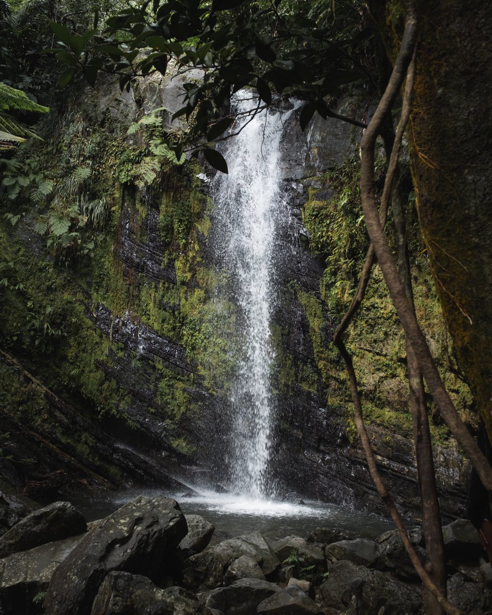AustynVisuals's tweet photo. Happy Earth Day 🌱 https://t.co/kMGTi6kxjz