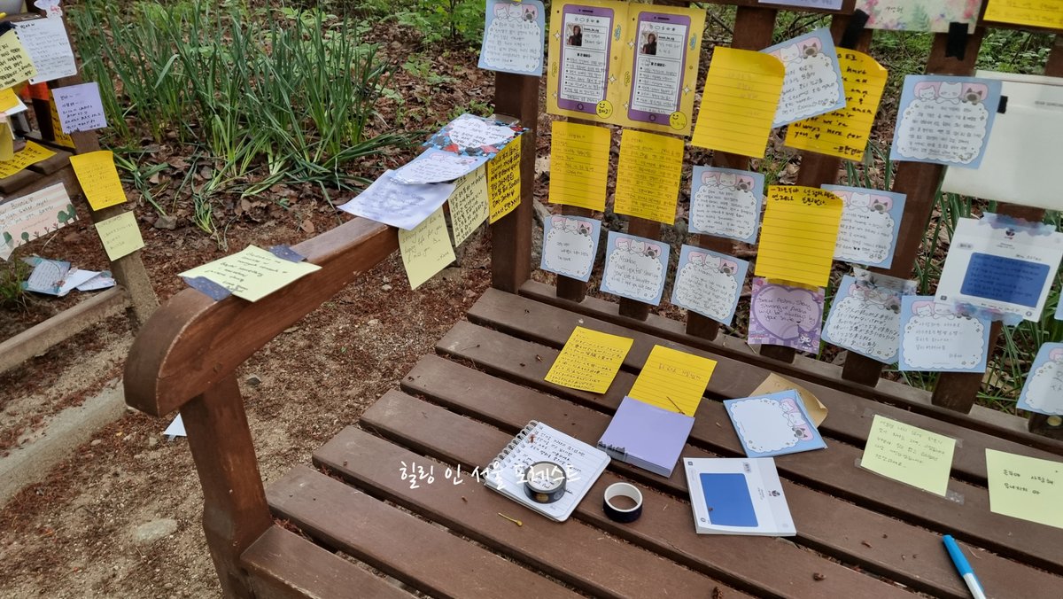 힐링 인 서울 포레스트 (Healing in Seoul Forest) tweet media