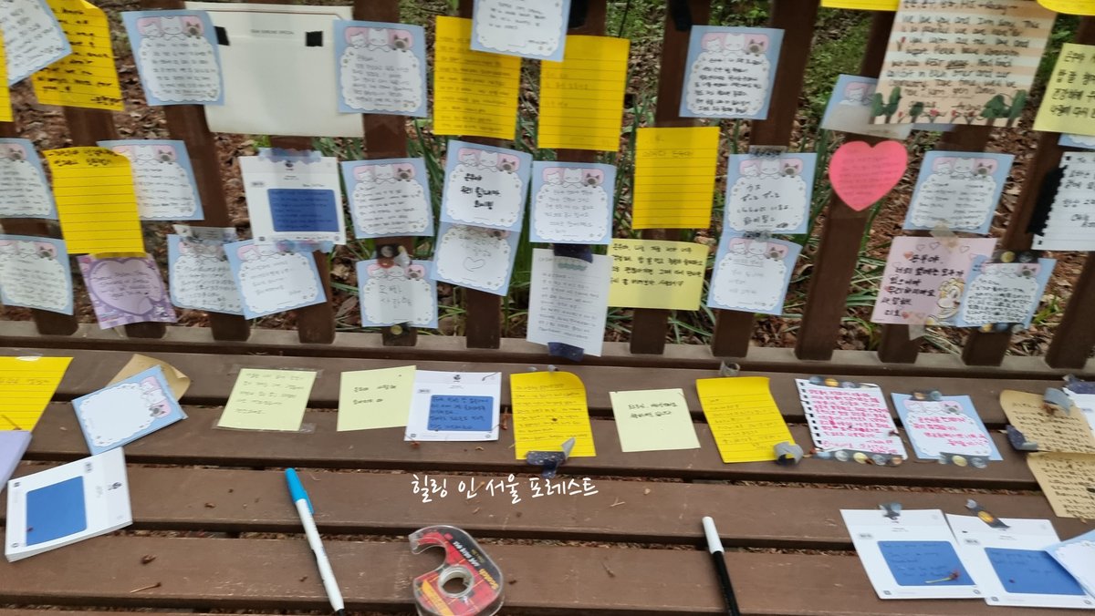 힐링 인 서울 포레스트 (Healing in Seoul Forest) tweet media