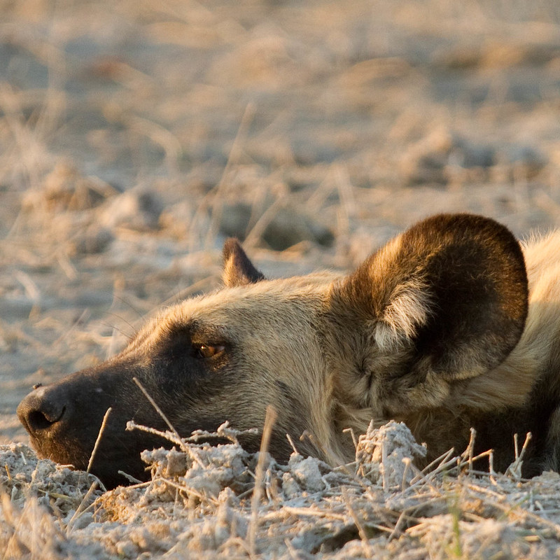 HourlyAWD's tweet photo. 2023-04-24T00:00:23+00:00 https://t.co/UyTFKyaZYL https://t.co/dDWTWEPZ9R