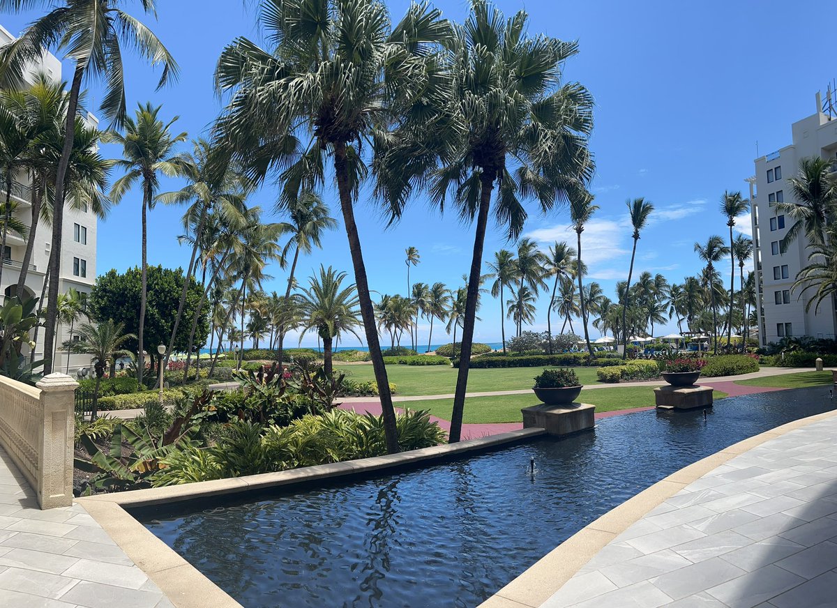 stacey23_'s tweet photo. 🫶🏼🌴 Birthday Trip https://t.co/BTY7bhXcZg