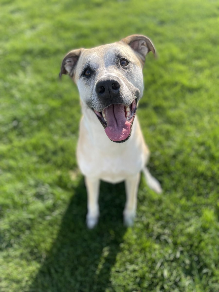 Kelsey Davis tweet media