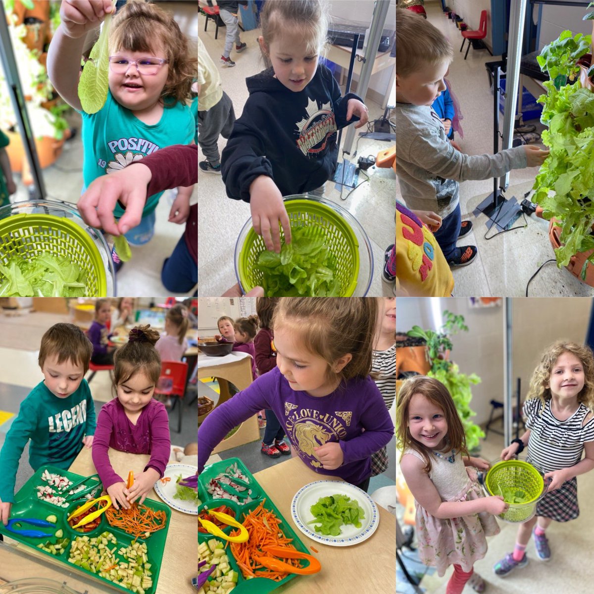 These happy kiddos are harvesting the veggies they grew in their Garden Tower! @ONFE_ROPE #ocsbGardens #ocsbEL #ocsbEarth @MichaelFitzOCSB #foodliteracy #ocsbKindergarten