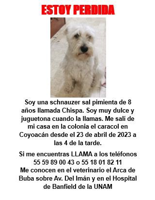 🔴SE BUSCA🔴