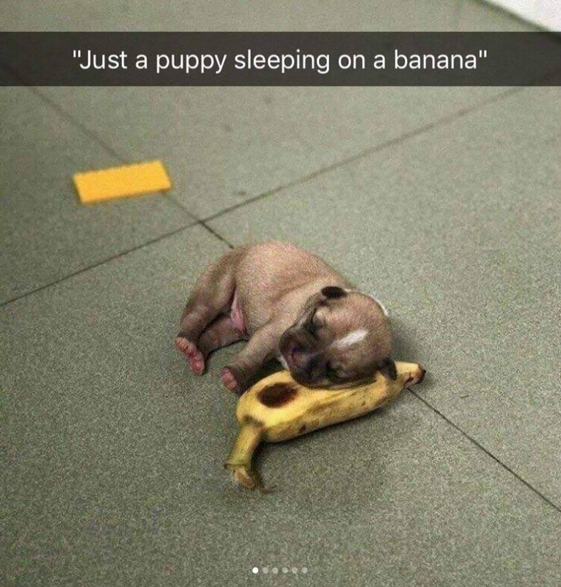 WholesomeMeme's tweet photo. https://t.co/RHRBijaTrf