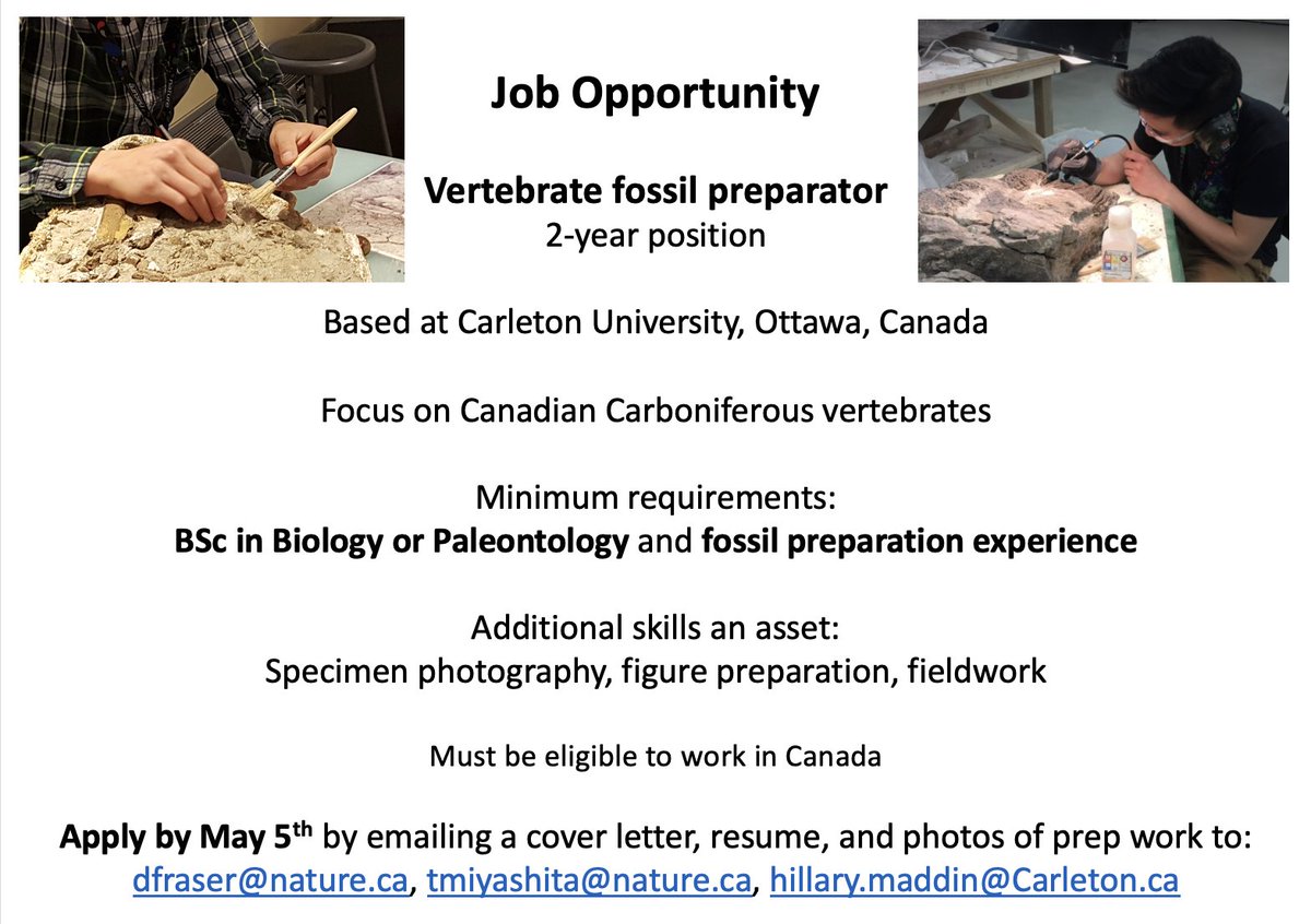 We're hiring! 2-year fossil preparator position to be based at Carleton University, Ottawa, Canada. Contact one of us for more info! Apply by May 5th, but applications will be accepted until position is filled.