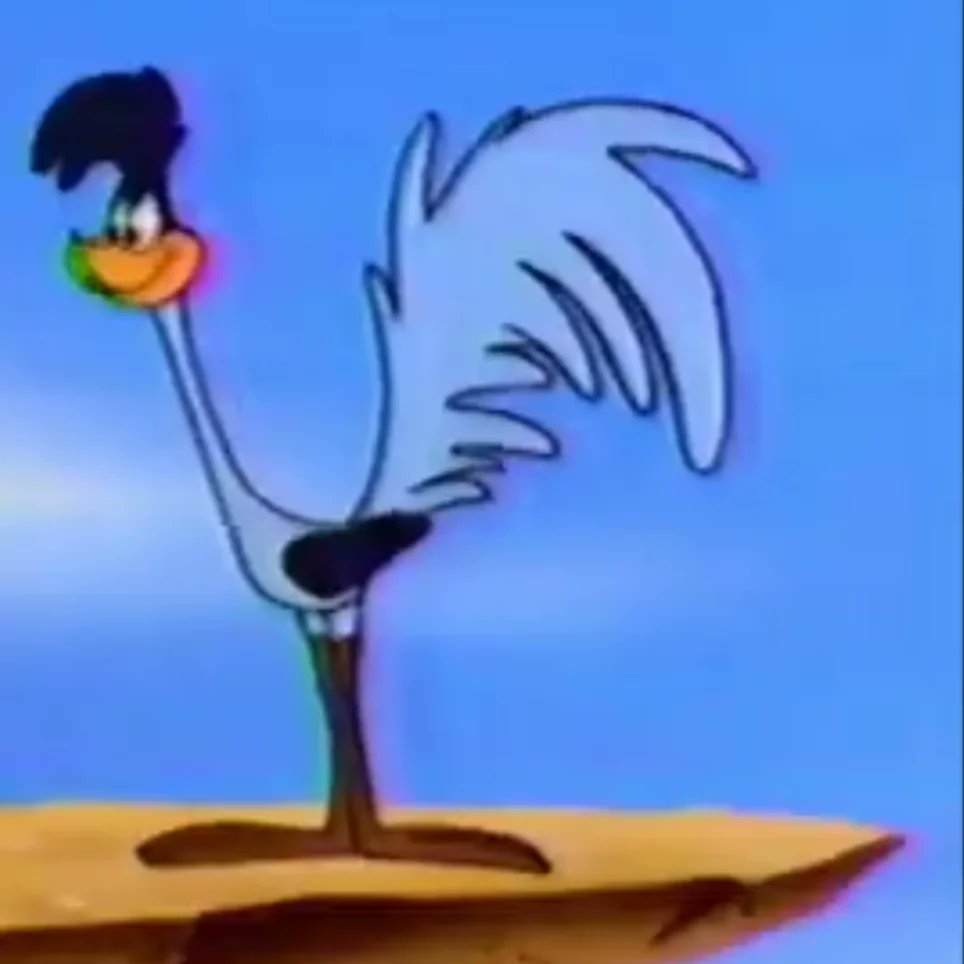 Road_Runner1949's tweet photo. Day 431 BEEP BEEP I see something interesting over there. I think it's another bowl of bird seed.

#RoadRunnerLooneyTunes
#LooneyTunesRoadRunner
#DailyDoseofRoadRunner
#Day431
#Road_Runner1949 https://t.co/or86SfcuoN