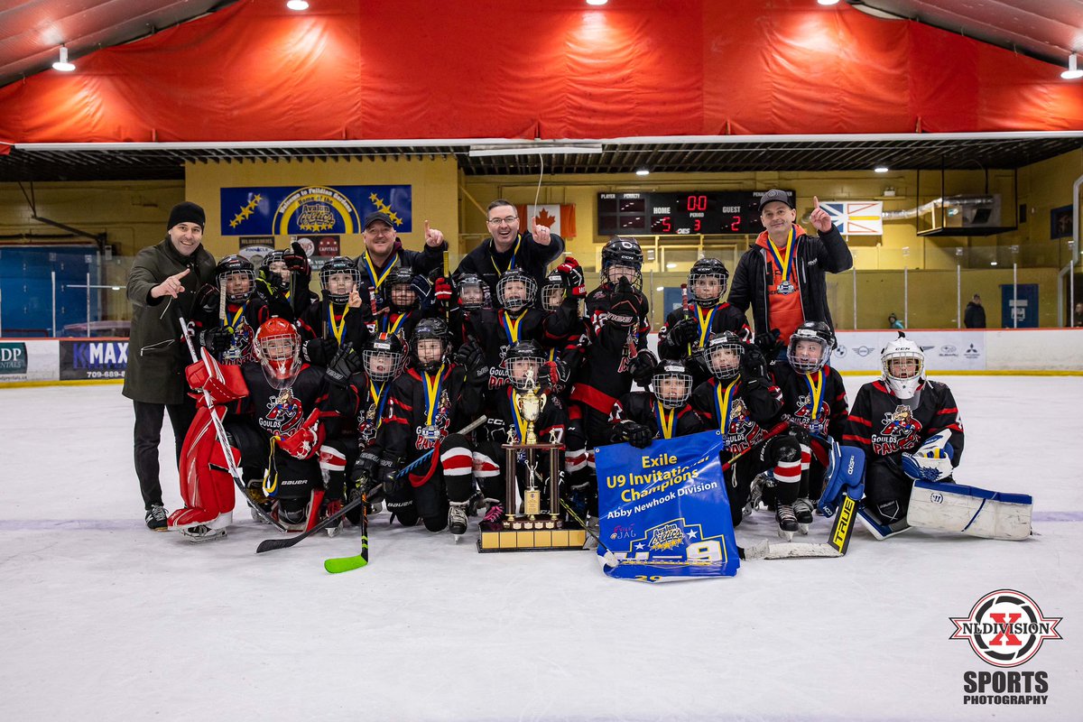 NLDivisionX tweet media