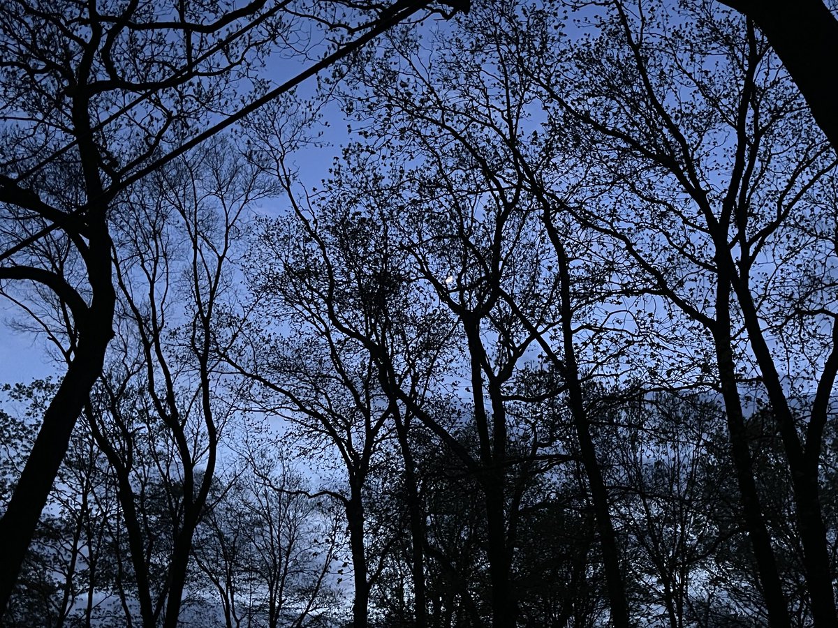 MariamAboian's tweet photo. Stars and the moon are not water, but still awesome to run next to! Hope trip from #Manchester was awesome @TylerSbrt! #physicianhealth #wellness #findingtime @radiology_ninja Song of the night is the all time fave #Felicita @AlbanoCarrisi & Romina Power https://t.co/zQal1sUOKn
