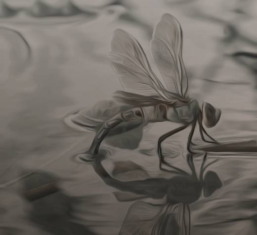 𝐀𝖓𝖓𝖊 𝕾𝖆𝖑𝖑𝖔𝖜. (@cursedviperine) on Twitter photo 