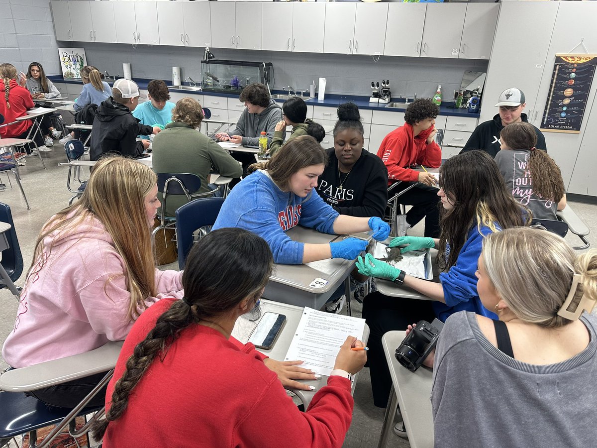 sum_king83's tweet photo. Iguana dissections on Friday with my second block. I think this was their favorite dissection so far this year. #phylumchordata #classreptilia @TheBurgScience @PatriotVision https://t.co/WyELTcsBOj